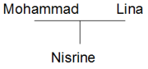 Arbre g&eacute;n&eacute;alogique Nisrine (pas de fr&egrave;re et soeur)